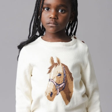 Pet Pony Sweater