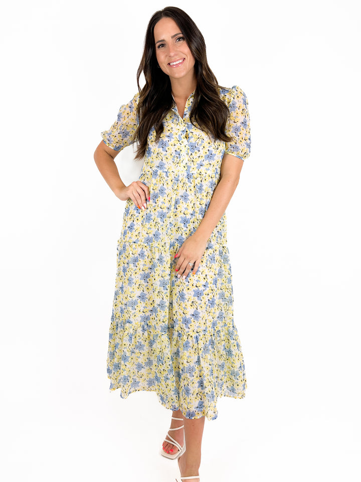 A Walk In The Vinyard Dress