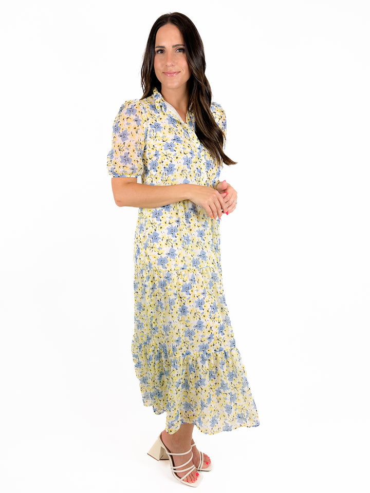 A Walk In The Vinyard Dress