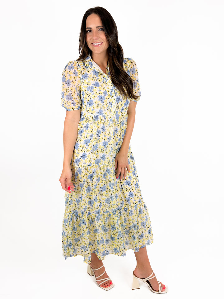 A Walk In The Vinyard Dress