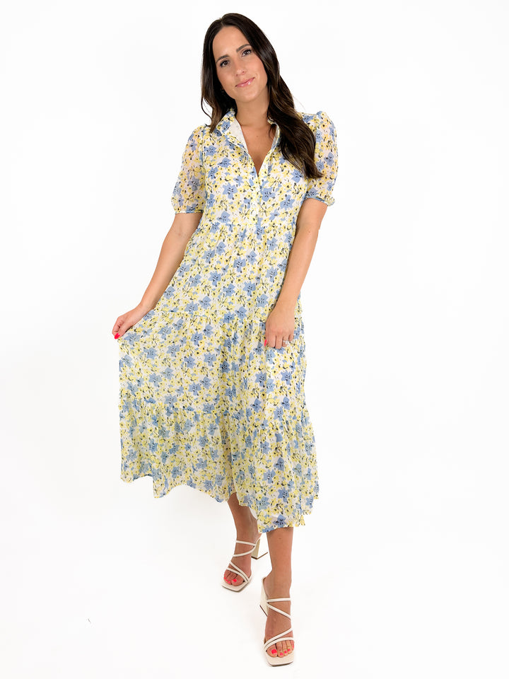 A Walk In The Vinyard Dress